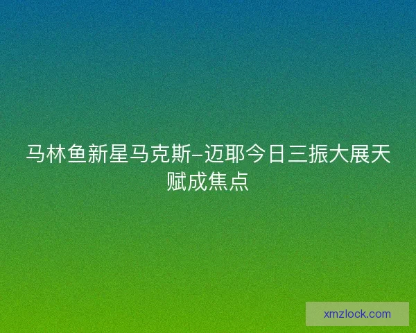 马林鱼新星马克斯-迈耶今日三振大展天赋成焦点