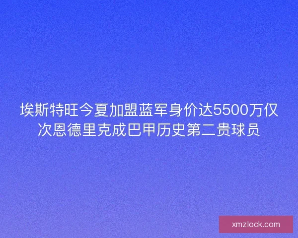 埃斯特旺今夏加盟蓝军身价达5500万仅次恩德里克成巴甲历史第二贵球员 埃斯特旺今夏加盟蓝军身价达5500万仅次恩德里克成巴甲历史第二贵球员